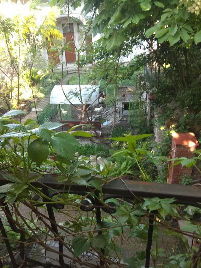 إلفيف Mangal And Terrace In Center Apartment المظهر الخارجي الصورة